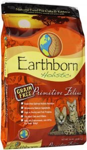 earthborn holistic dry cat food bag