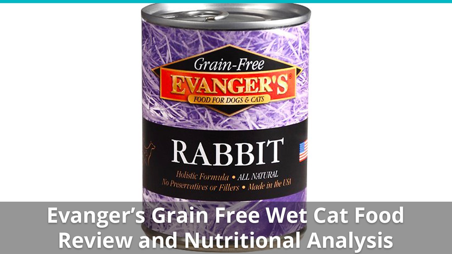 evangers grain free wet