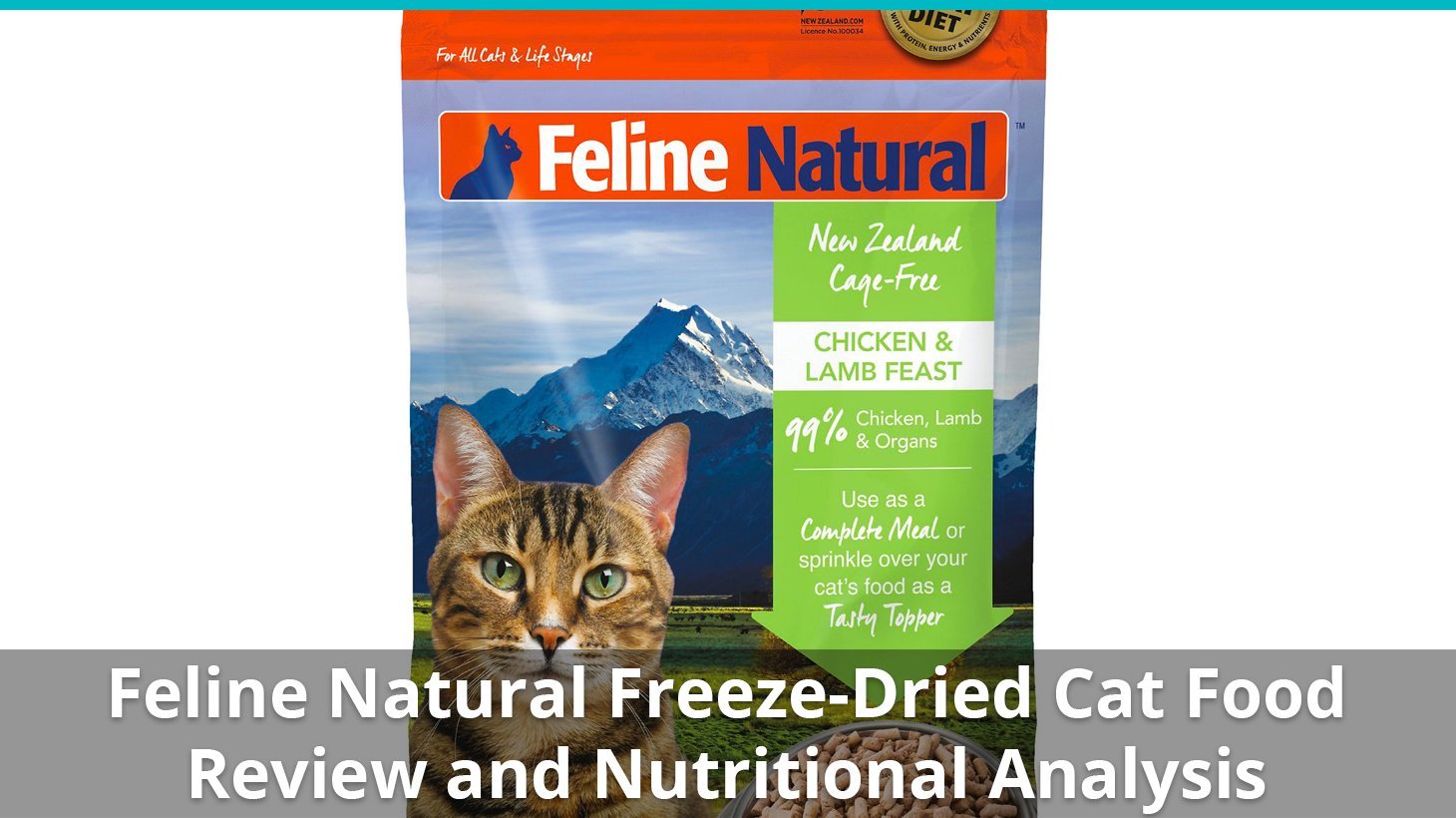 feline natural freeze dried