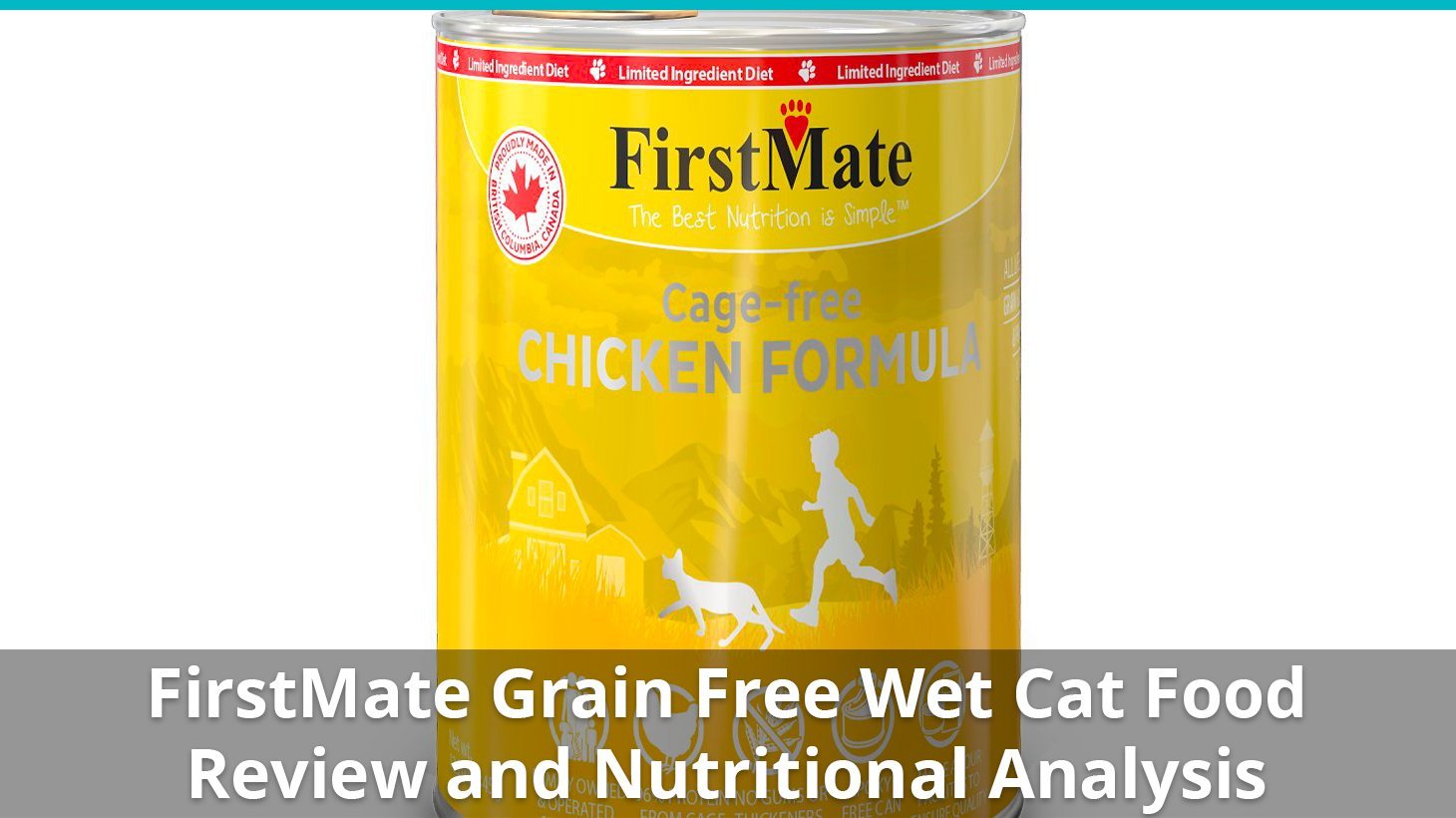 firstmate grain free wet