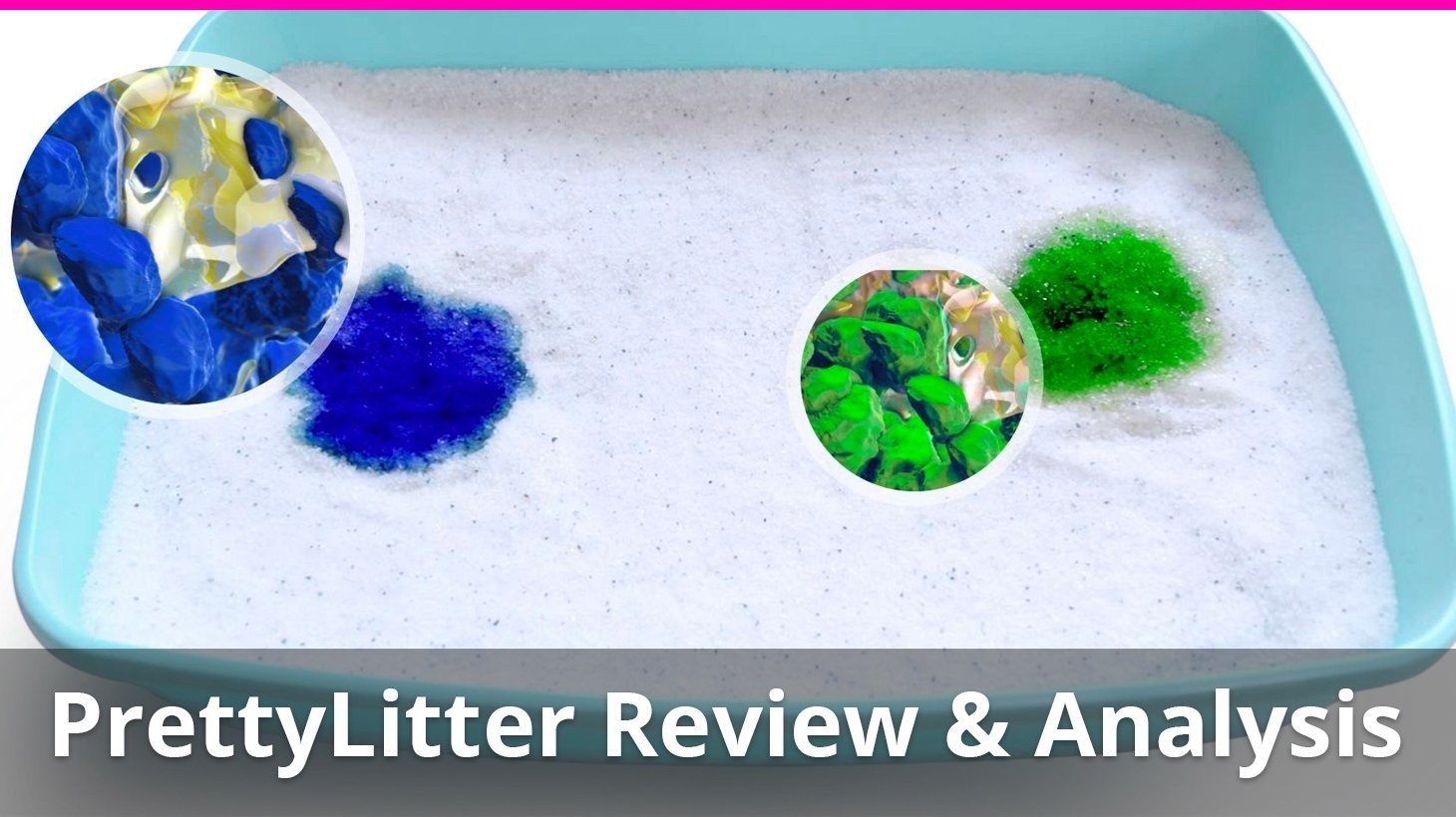 prettylitter review