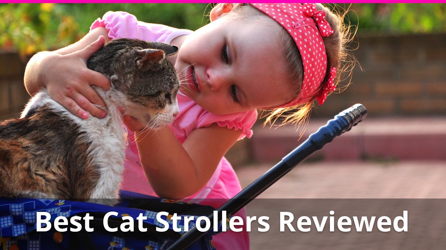 best cat strollers reviewed