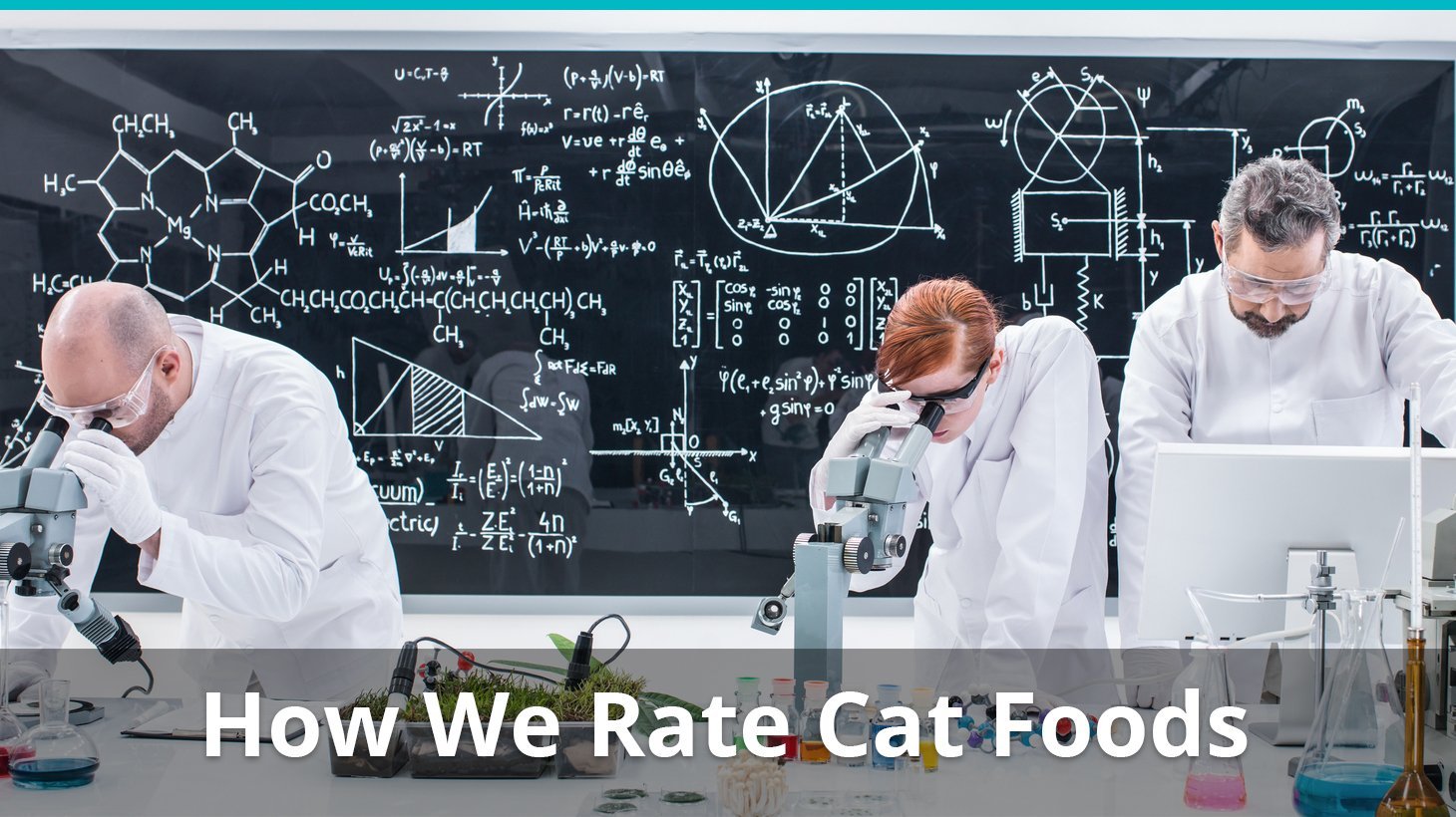 how we rate cat foods