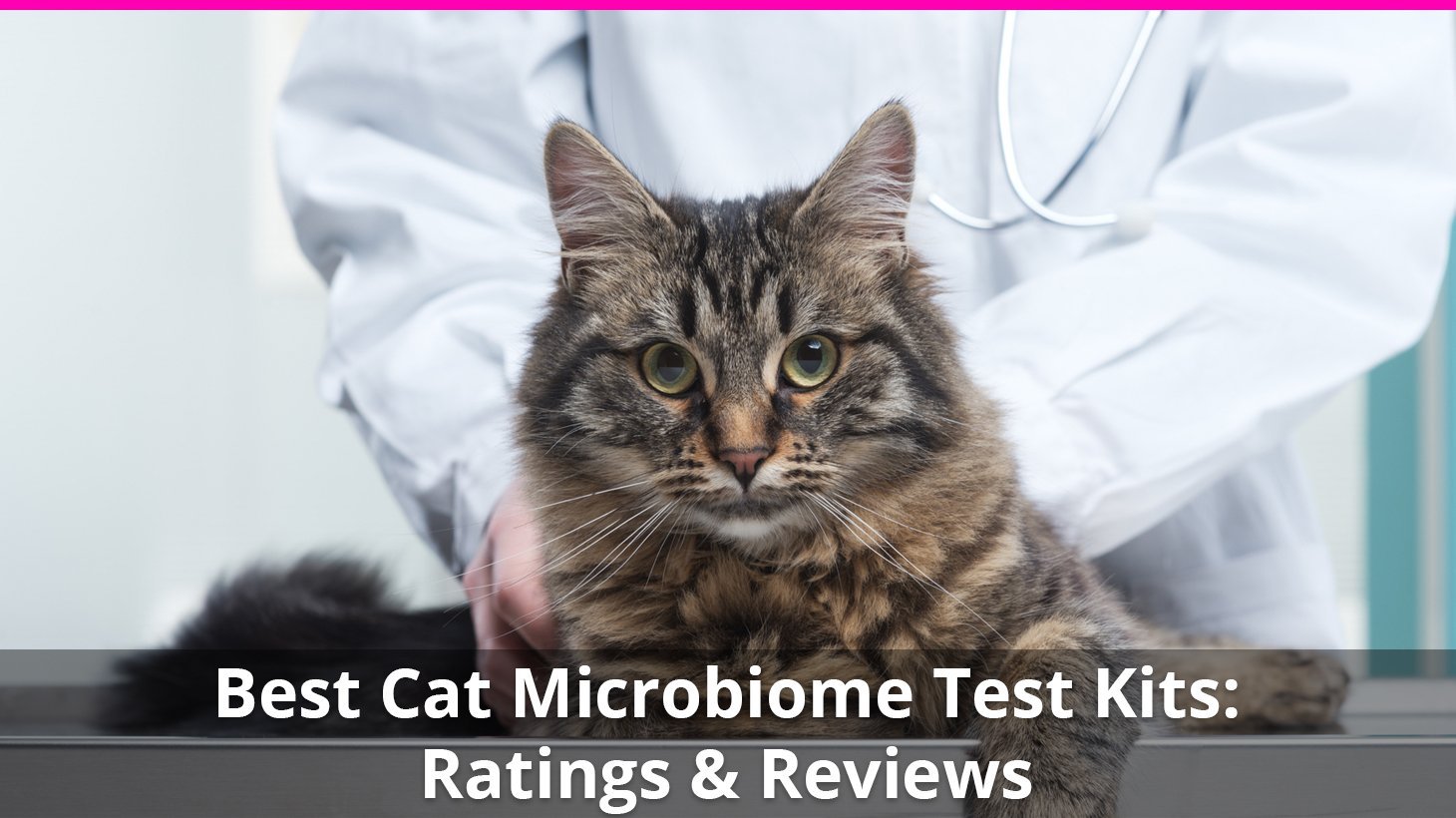 best cat microbiome test kit