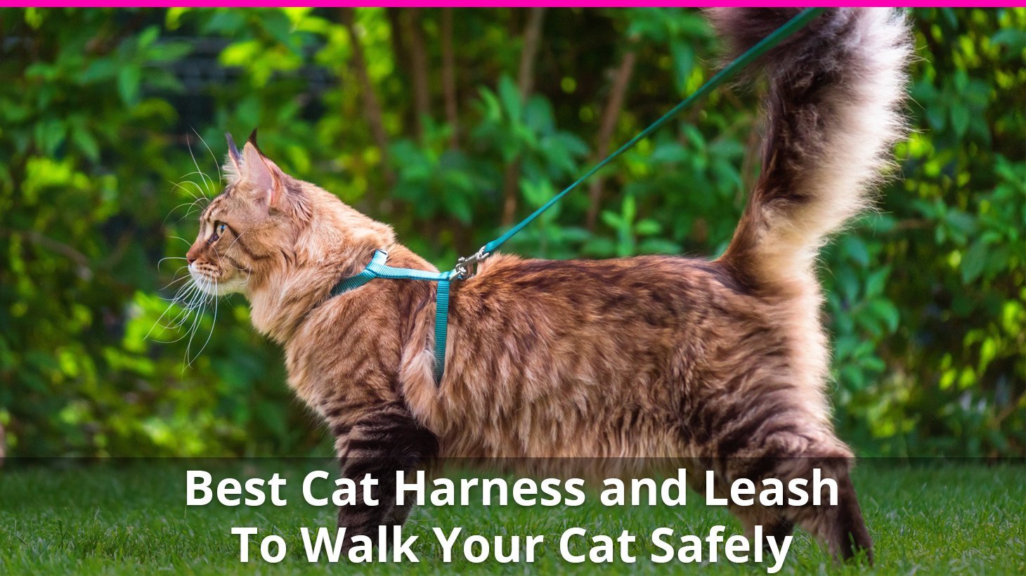 Unihubys Cat Harness with Leash Set Adjustable Soft Mesh Material with Strong D-Ring for Peace of Mind Great for Walking 