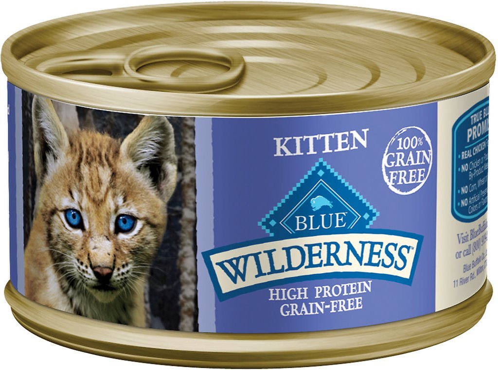 best food for underweight kitten