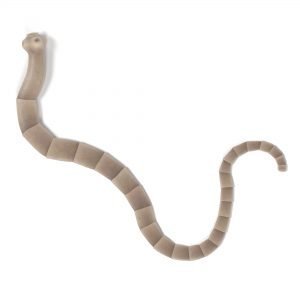 realistic 3d render of tapeworm in cats
