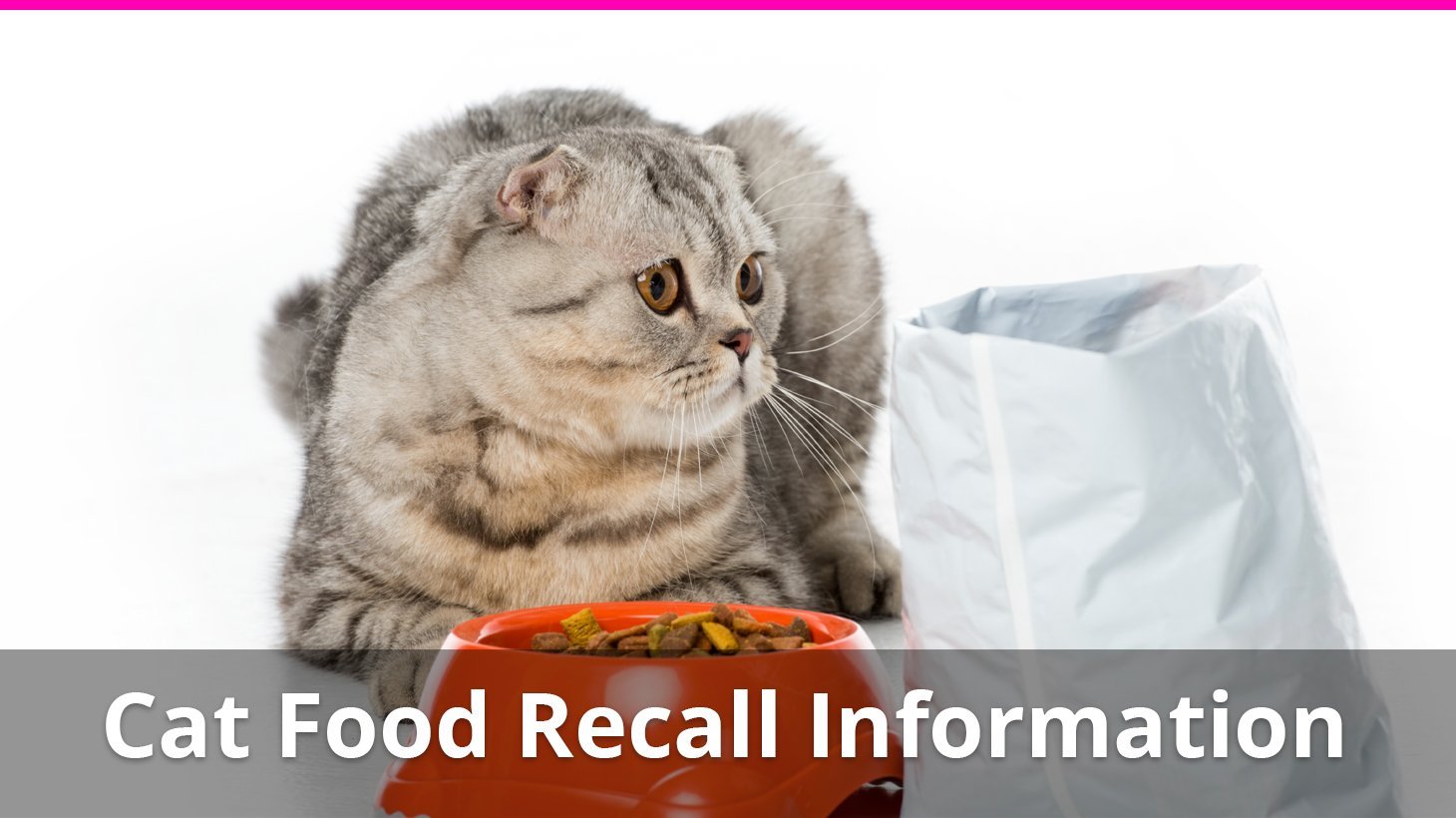 cat food recall