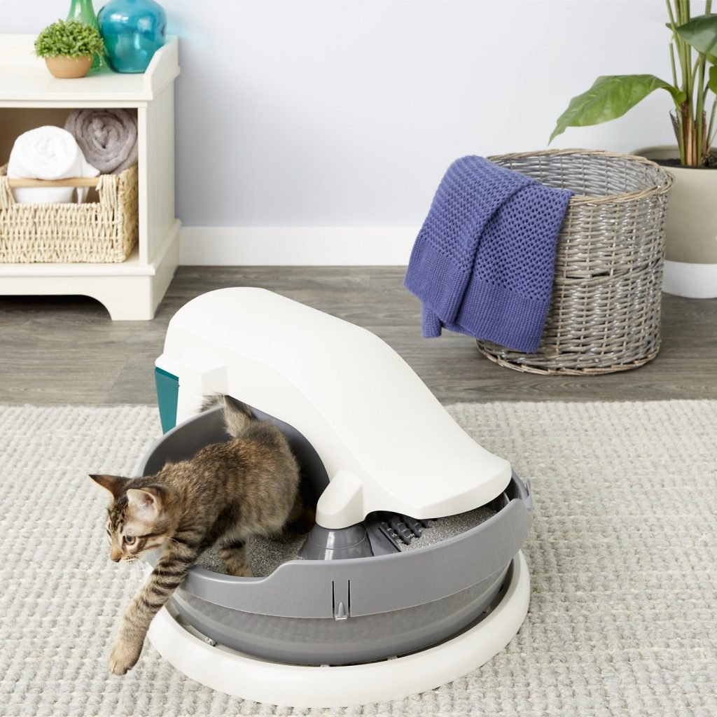 petsafe simply clean with cat in cat box