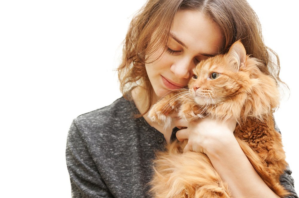 young woman 20 years with a fluffy red cat isolated gps tracker for cats