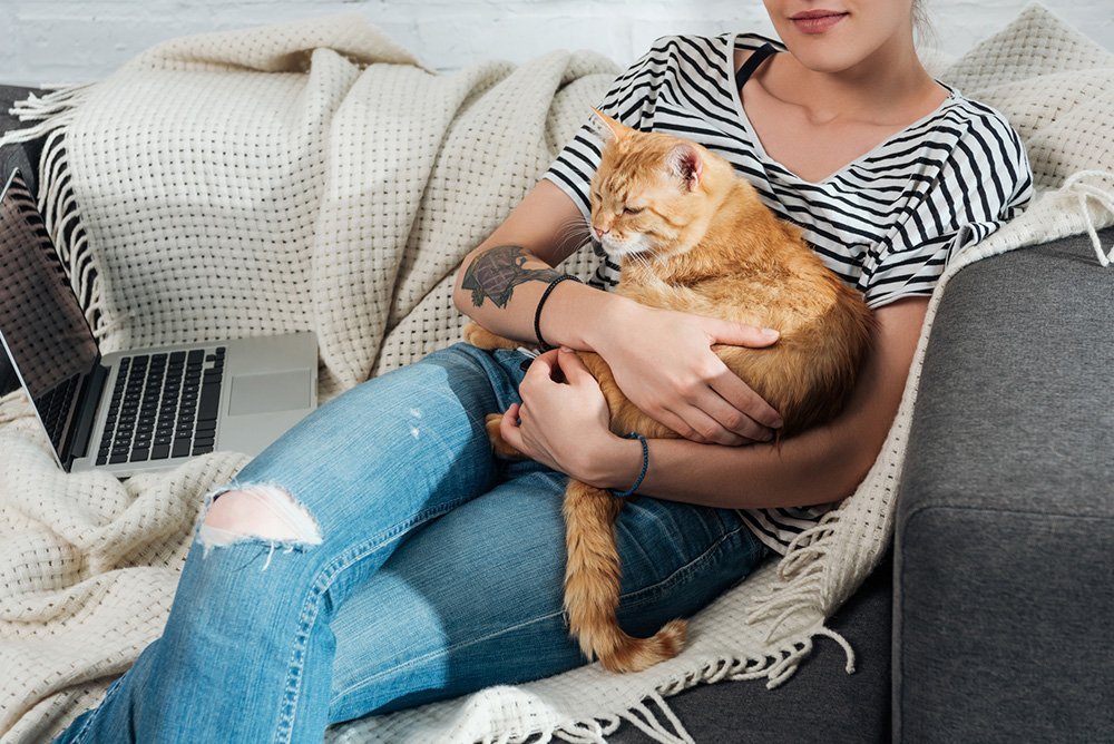 young woman holding a ginger cat on a sofa for best automatic litter box