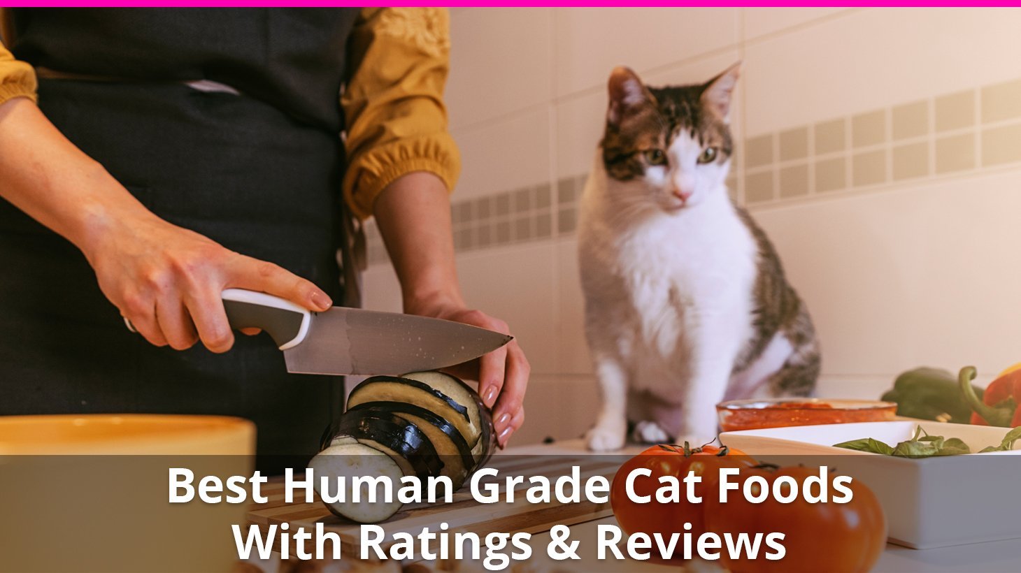 best human grade cat food