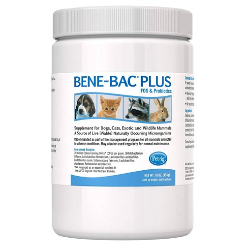 PetAg Bene-Bac Plus FOS & Probiotics Powder Supplement