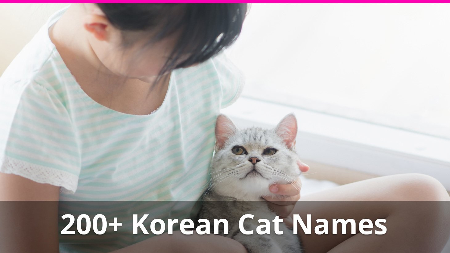 200+ Korean Cat Names (plus Meanings) For Male And Female Kitties