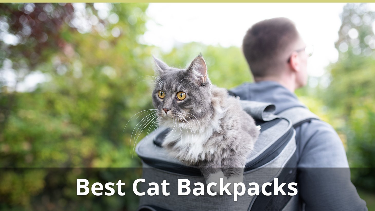 Best Cat Backpacks Article Title Image